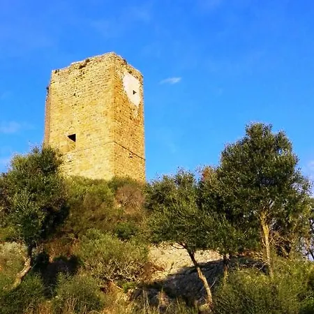 Affittimoderni Bouganville - Vibo07 *